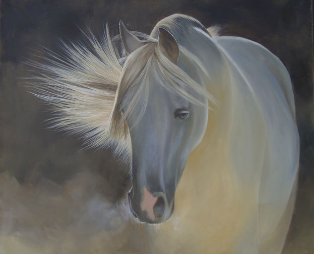 Caballo en trasluz Acrylic Canvas Animals