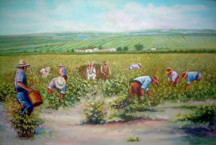 Vendimia de jerez