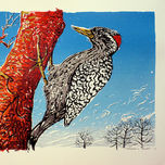 Serigrafias thumbnail 1