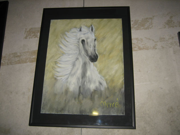 caballo al viento