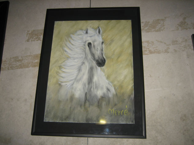 caballo al viento Pastel Card Animals