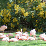 Zoo thumbnail 2