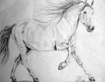 Galán