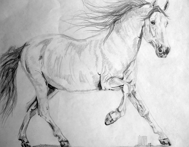 Galán Graphite