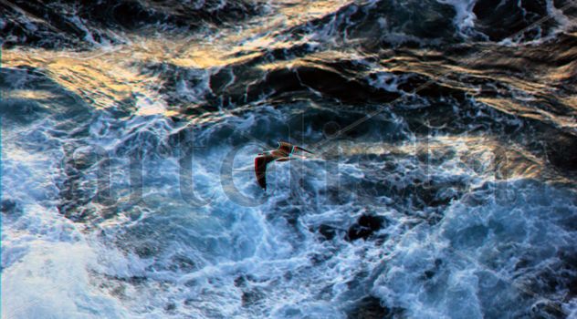 Oceano 3D Anaglifo
