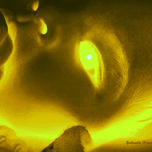 Seres de luz y estadios emocionales. thumbnail 1