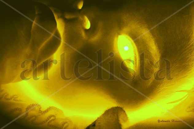 La misteriosa luz de Ana Paula