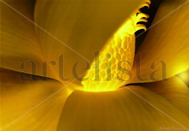 Irradiando luz