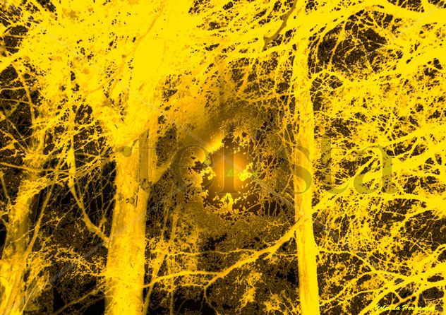 Misterio en el bosque luminoso