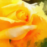 Naturaleza thumbnail 1