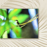 Nature thumbnail 1