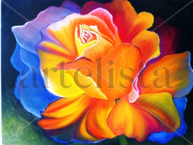 Rosa Multicolor