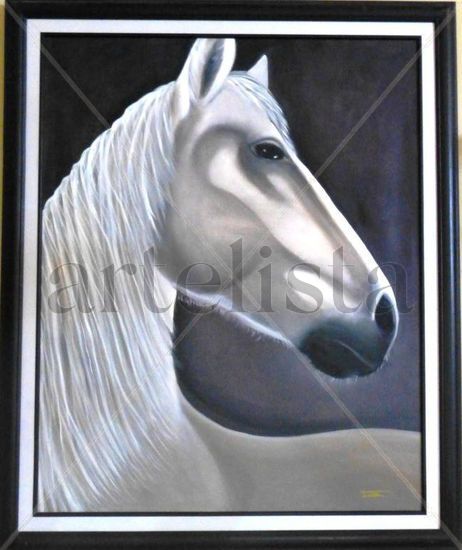 el caballo blanco Oil Canvas Animals