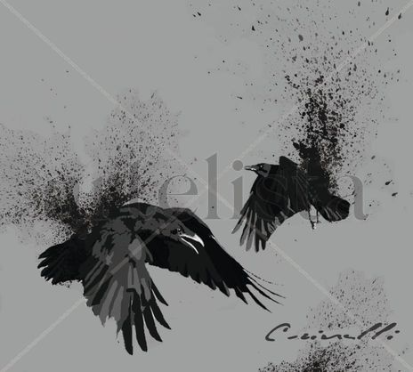 Corvus