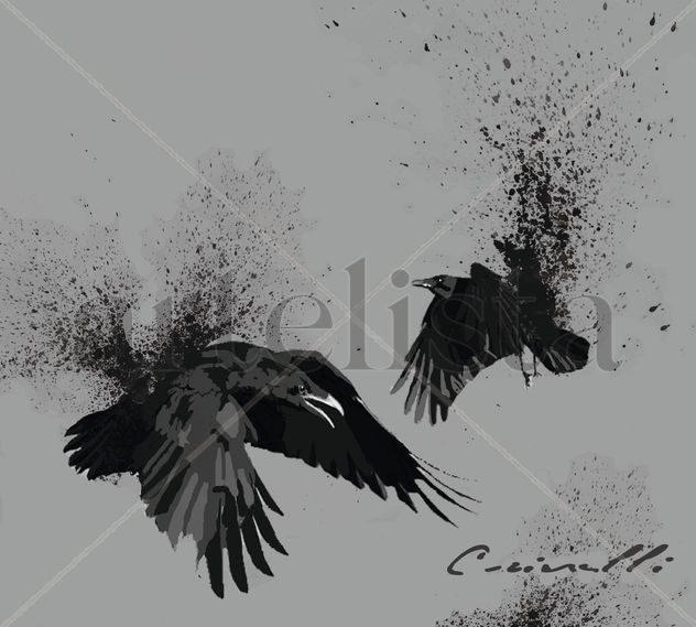 Corvus