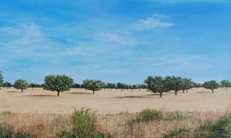 Extemadura