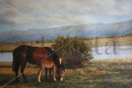 En el campo