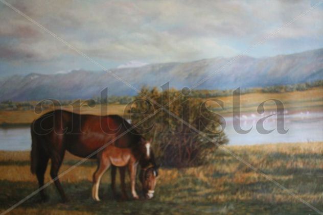En el campo