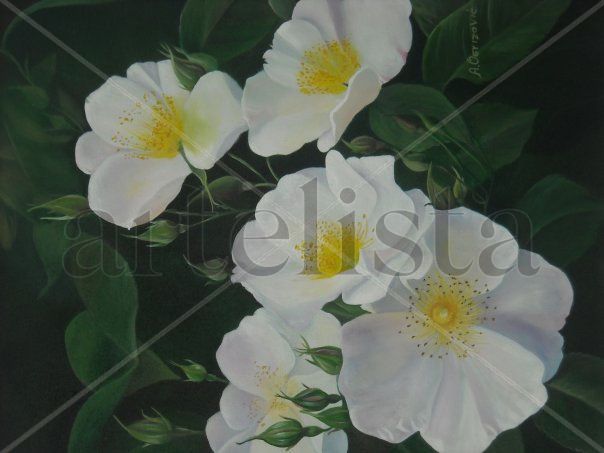 Rosas blancas Oil Canvas Floral Painting