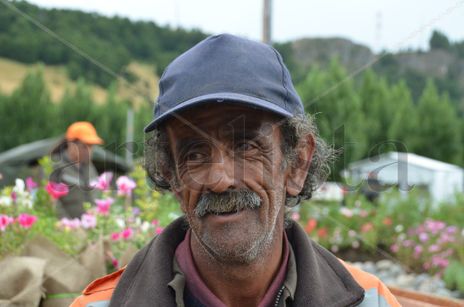 Jardinero