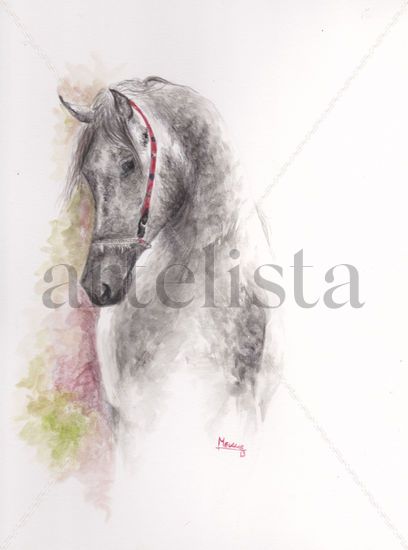 Arabe. Arabian Horse. Acuarela Papel Animales