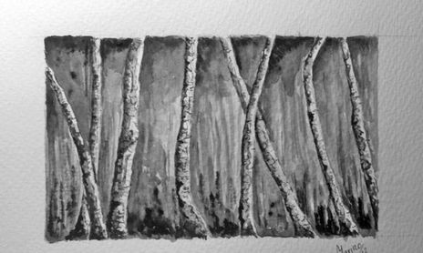 Aguadas tinta