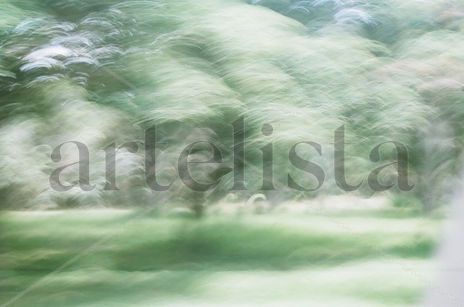 Niebla del Riachuelo
