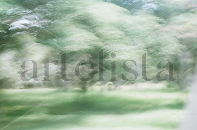 Niebla del Riachuelo