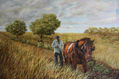 agricultor