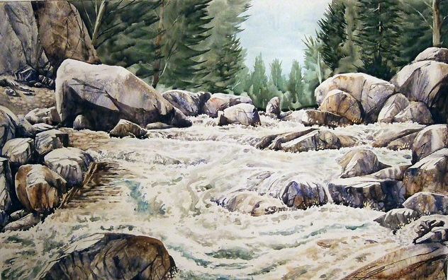 Aguas agitadas I