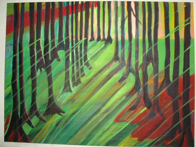 luz y bosque