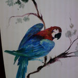 COLECCION DE PAJAROS DE NORMA FERRARI thumbnail 2
