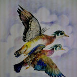 COLECCION DE PAJAROS DE NORMA FERRARI thumbnail 1