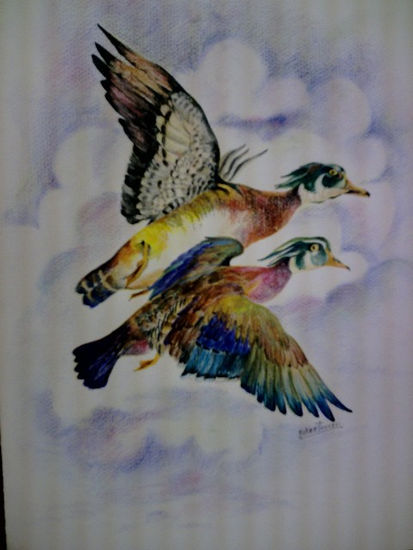 Serie Pajaros-Patos Silvestres Watercolour Paper Animals