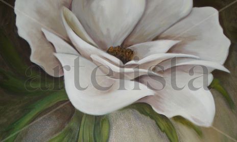 Aromas