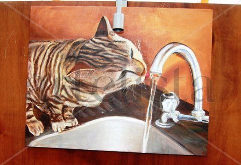 mi gata sol y el agua, 1° PREMIO CONCURSO DEL AGUA , AGUAS SAN PEDRO DE LA PAZ 2011 Óleo Tela Animales