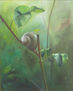 El sueño del caracol