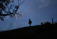 En las montañas