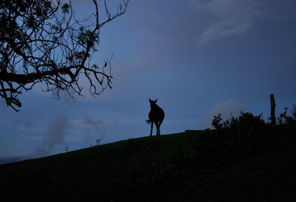 En las montañas