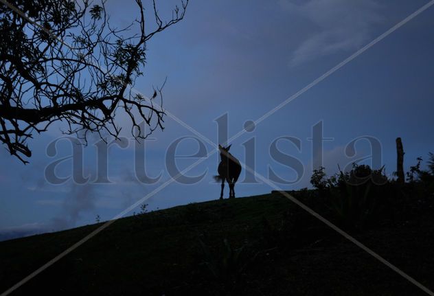 En las montañas
