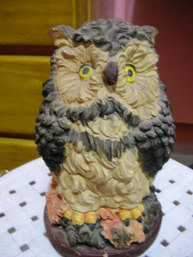 BUHO MOQUEGUANO