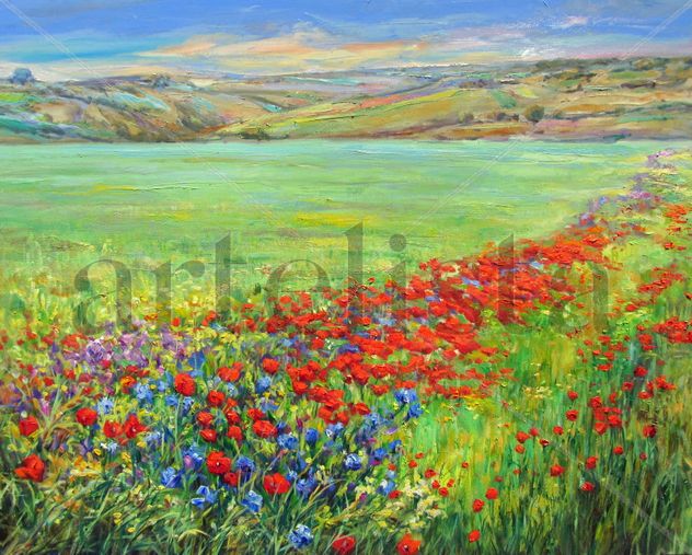 Primavera en Castilla la Mancha.
