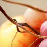 Bodegones thumbnail 1
