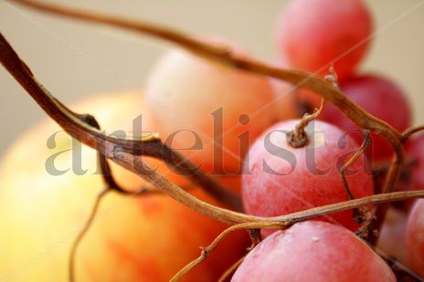 Fruta de otoño (2)