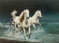 CABALLOS BLANCOS EN EL MAR DE LOS ENSUEÑOS