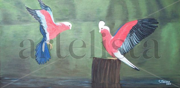 Carolinas en libertad Oil Canvas Animals