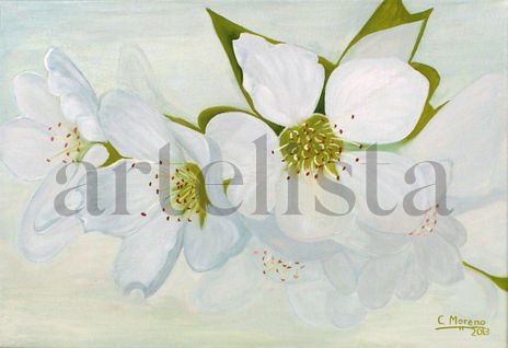 Primavera en flor