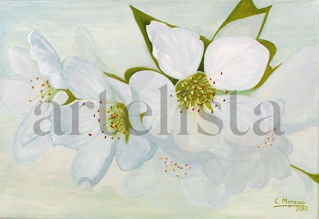 Primavera en flor
