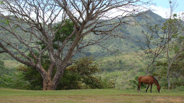 Camino a la Montaña Nature Color (Digital)