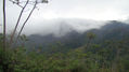 Cerro Negro